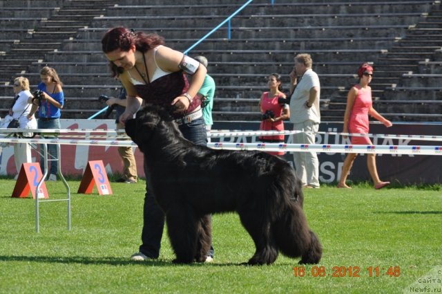 Фотография № 104079