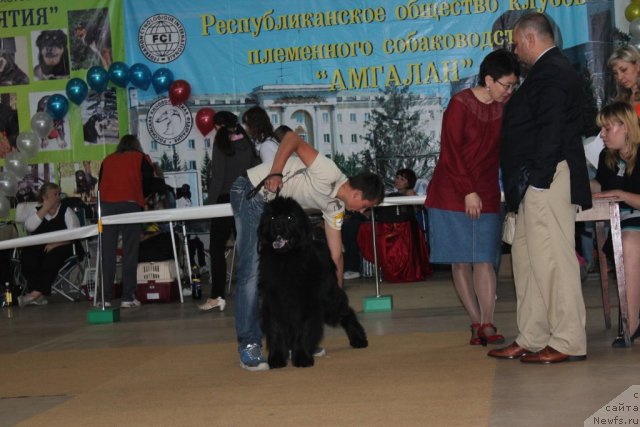 Фотография № 104123