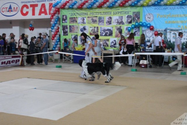 Фотография № 104126