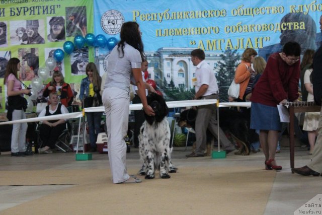 Фотография № 104127