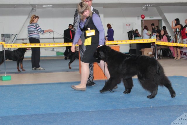 Фотография № 104130