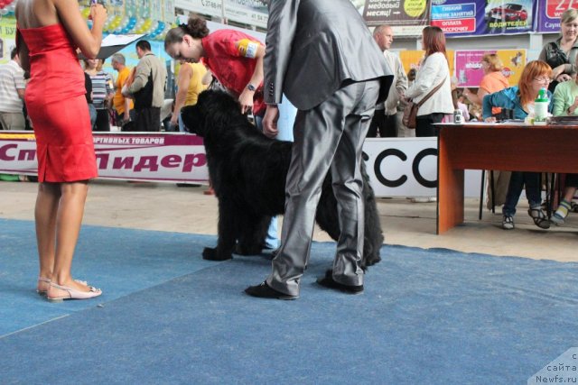 Фотография № 104134