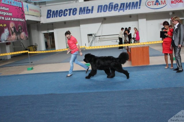 Фотография № 104136