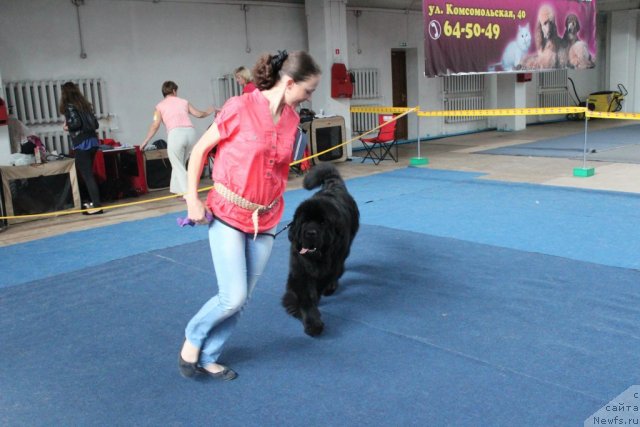 Фотография № 104137