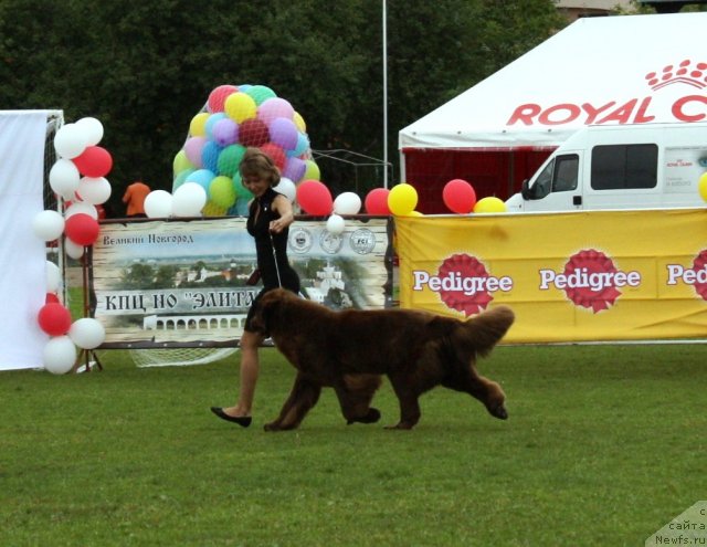 Фотография № 104142