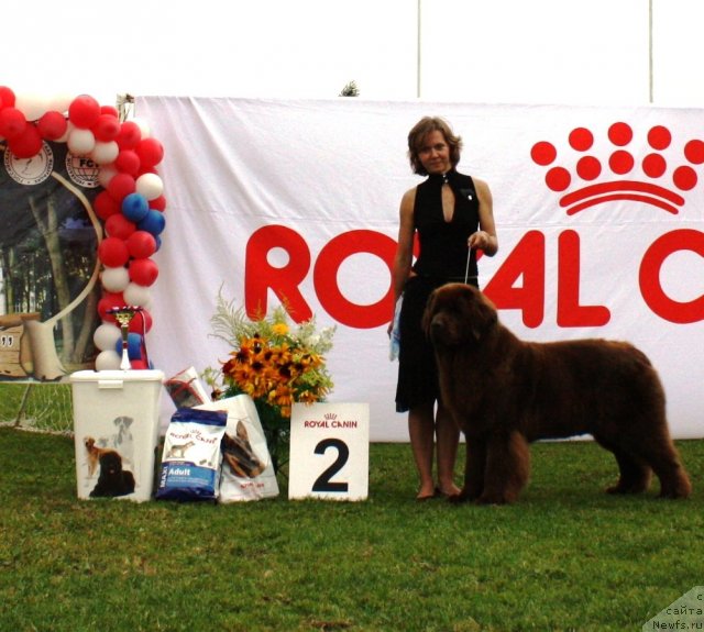 Фотография № 104145