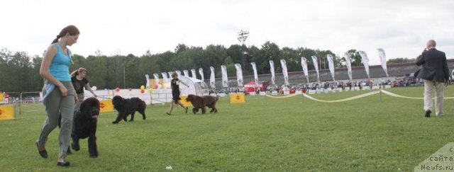 Фотография № 104150