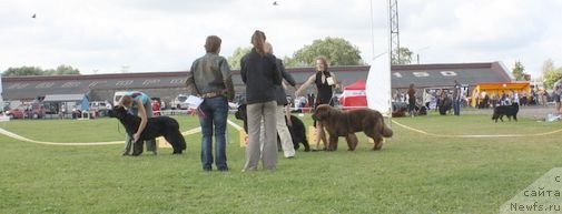 Фотография № 104152