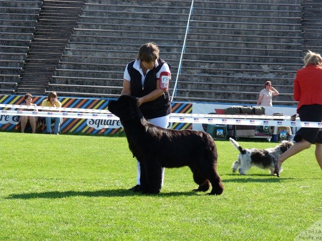 Фотография № 104194