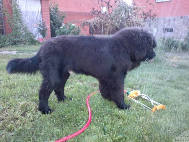 Фотография № 104252