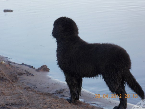 Фотография № 104256