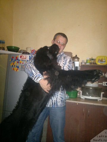 Фотография № 104258