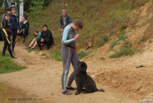 Фотография № 104269