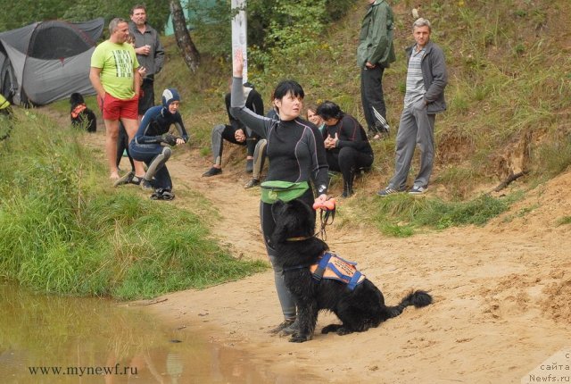 Фотография № 104279