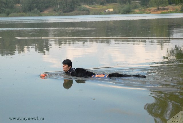 Фотография № 104282