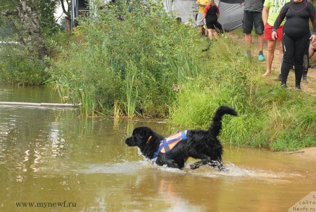 Фотография № 104287