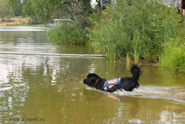 Фотография № 104288