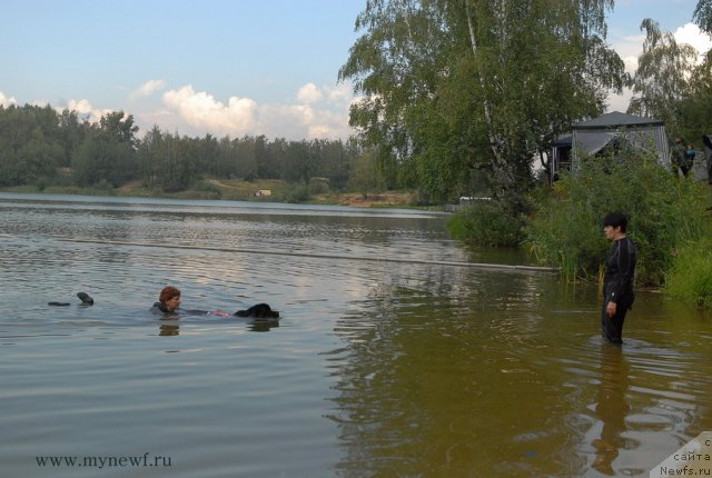 Фото: ньюфаундленд Белкондер-Клаб Угли-Бугли (Belkonder-Club Ugli-Boogli)