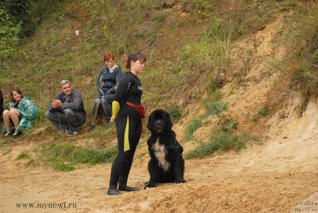 Фотография № 104298