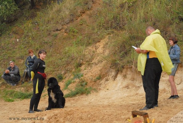 Фото: ньюфаундленд Bartez Beliy