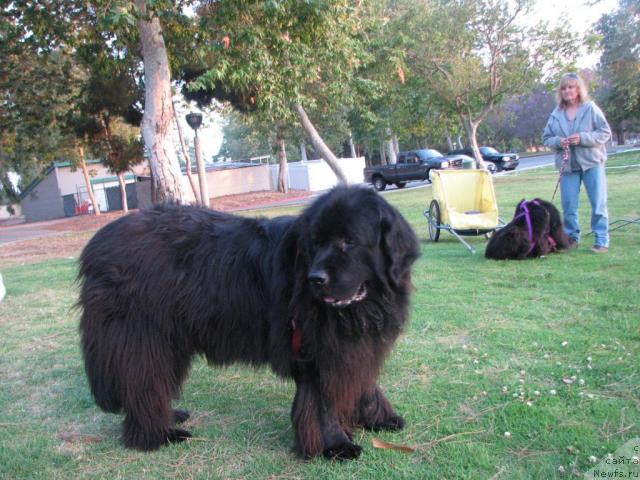 Фотография № 10430