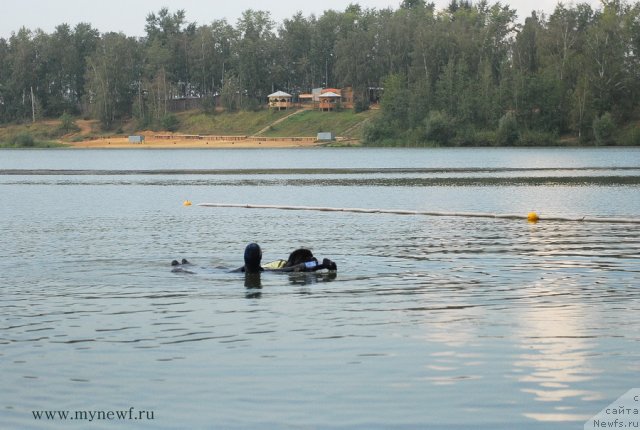 Фотография № 104307