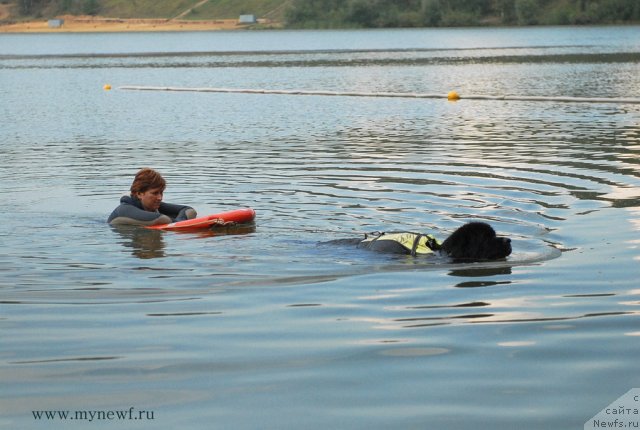 Фотография № 104314