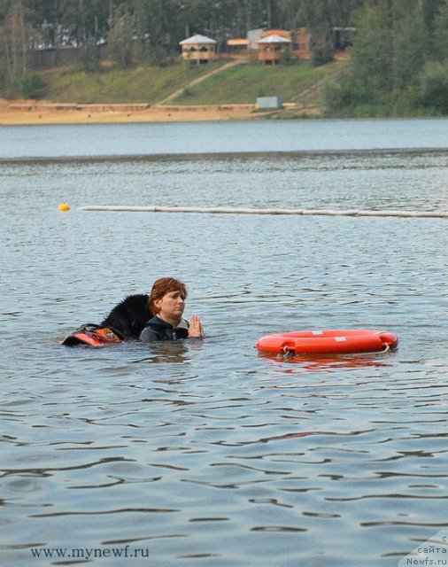 Фотография № 104326