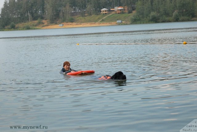 Фотография № 104327