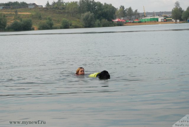 Фотография № 104337