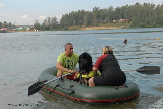 Фотография № 104341