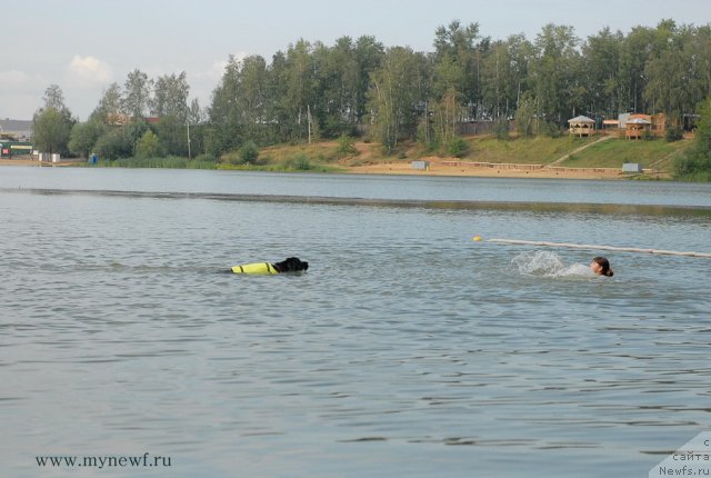 Фотография № 104342