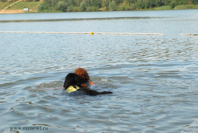 Фотография № 104349