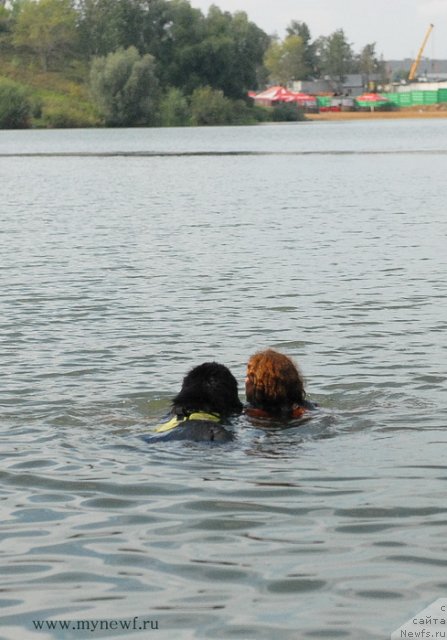 Фотография № 104352