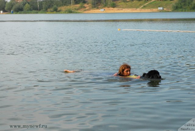 Фотография № 104353