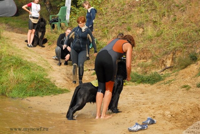 Фотография № 104355