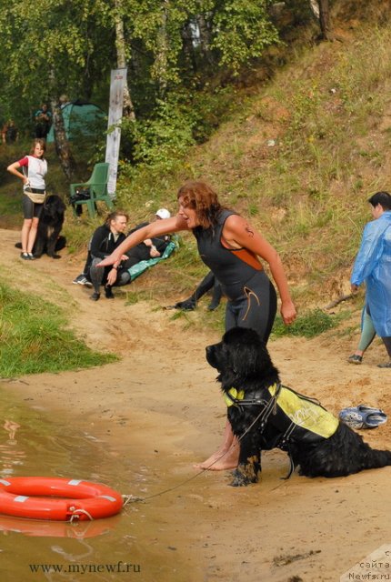 Фотография № 104356