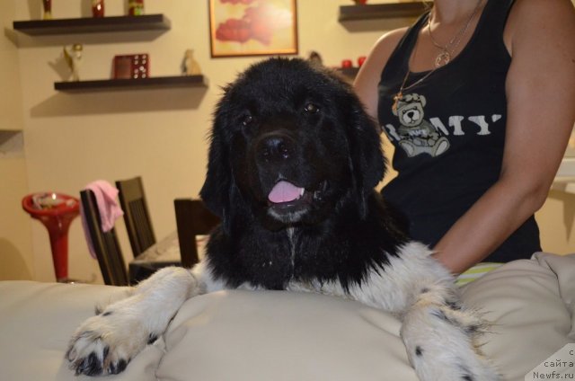 Фотография № 104386