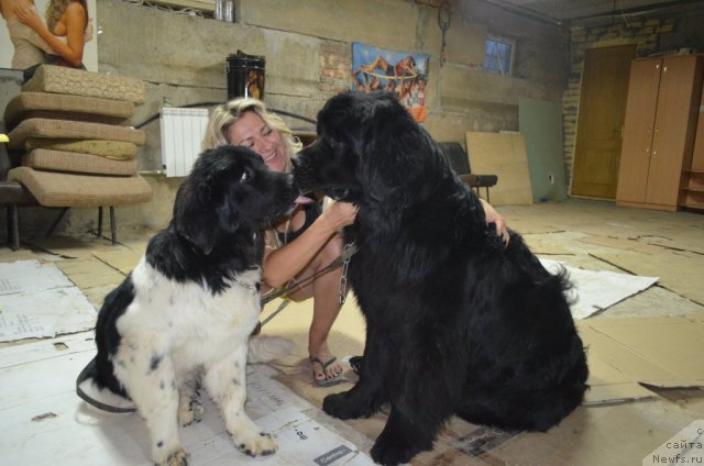 Фотография № 104390