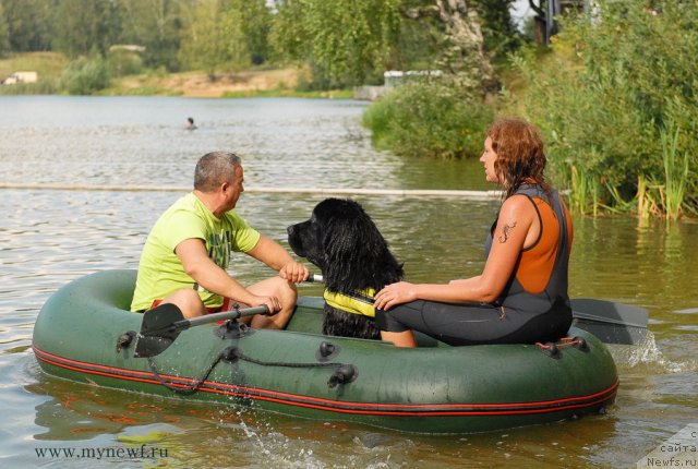 Фотография № 104409