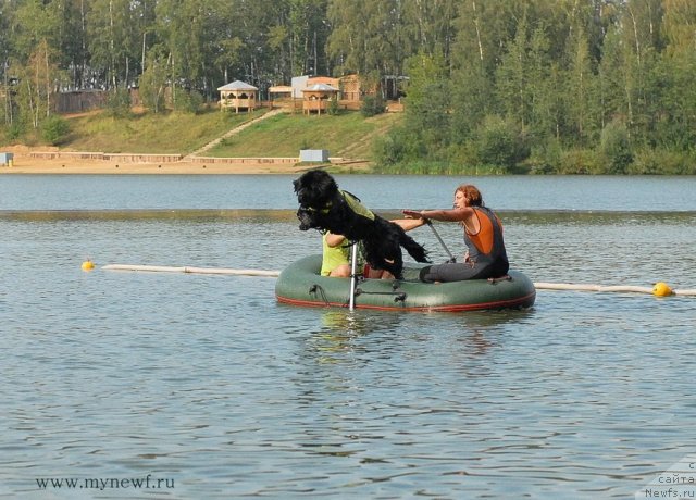 Фотография № 104412