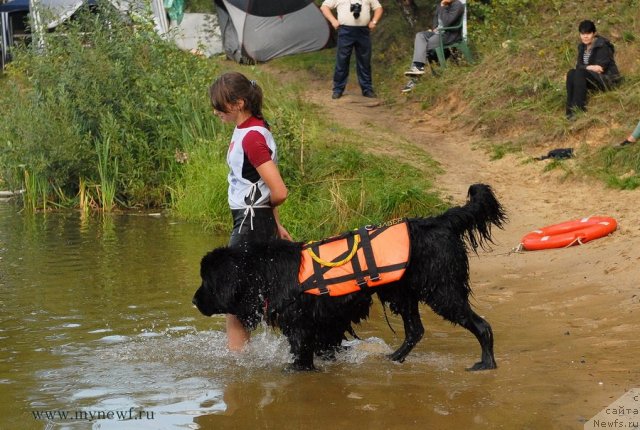 Фотография № 104416