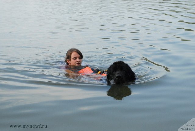 Фотография № 104419