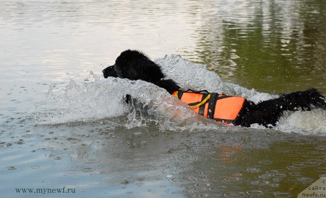 Фотография № 104422