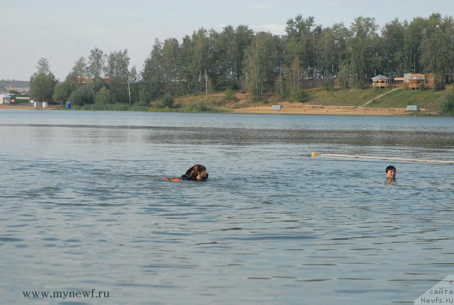 Фотография № 104428