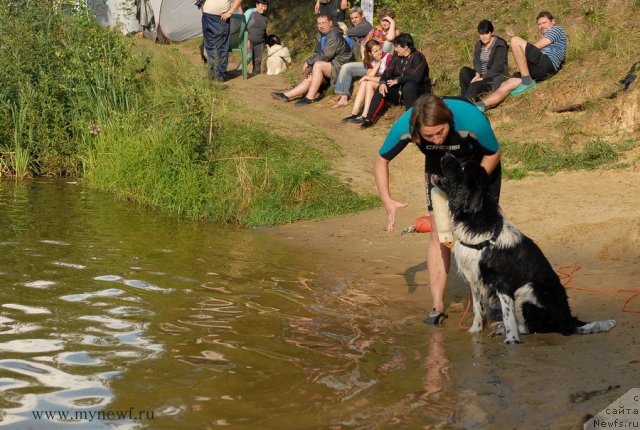 Фотография № 104450