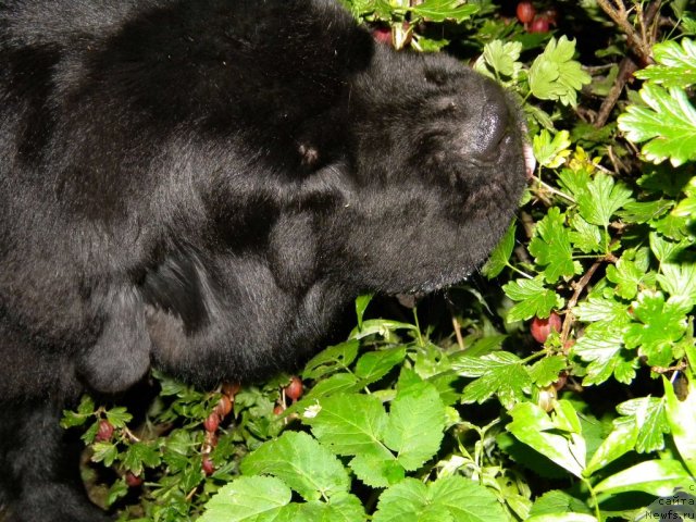 Фотография № 104454