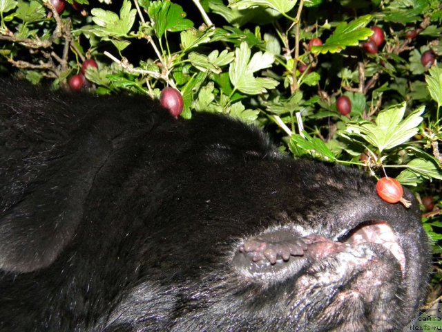 Фотография № 104455