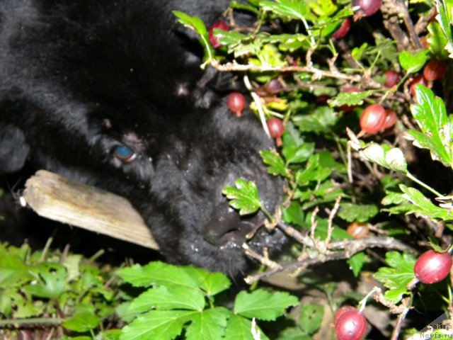 Фотография № 104456