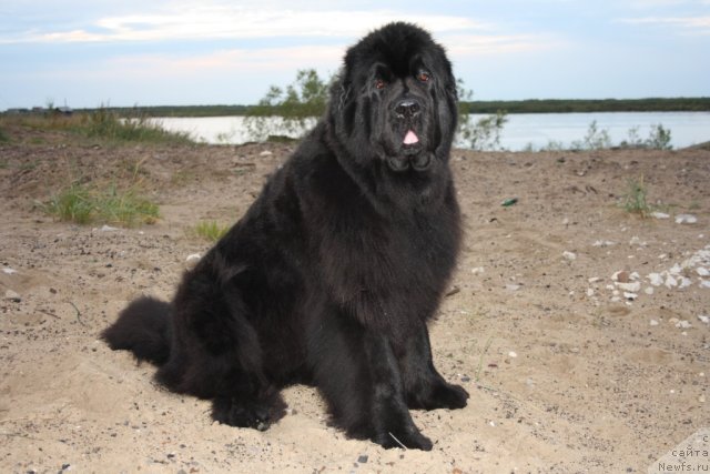 Фотография № 104543